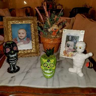 Gianna 's garden