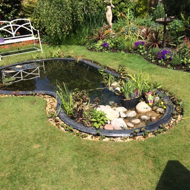 Gillian's garden