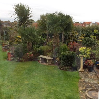 Gloria's garden