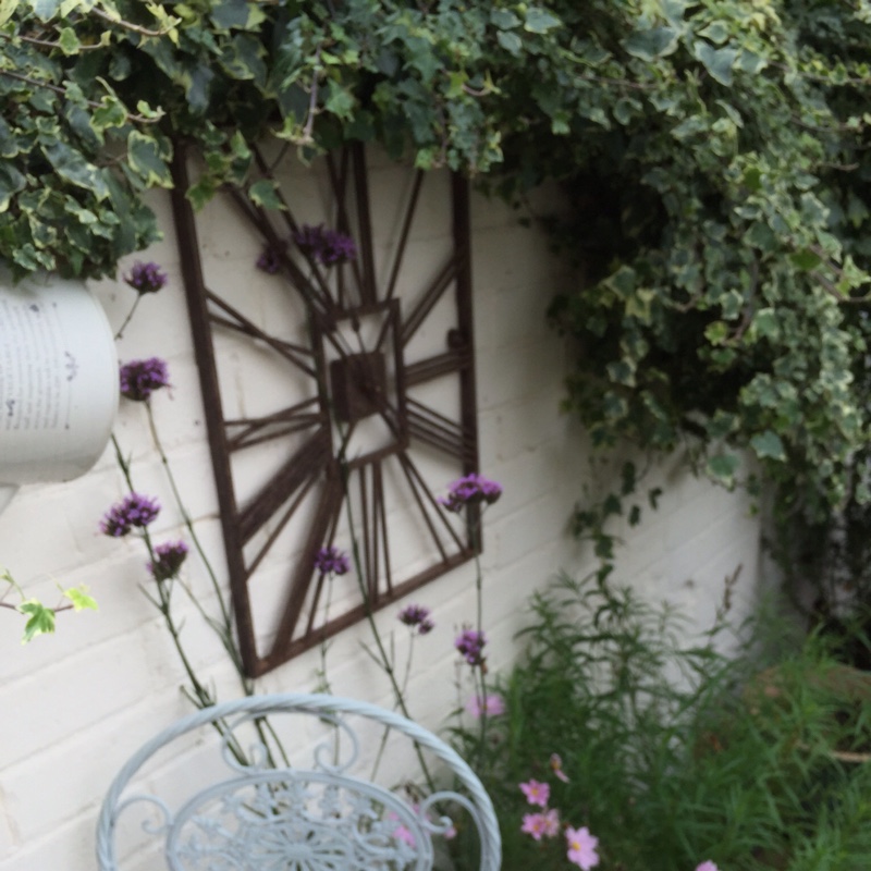 Andy's garden