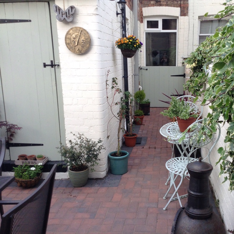 Andy's garden