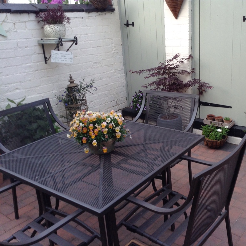 Andy's garden