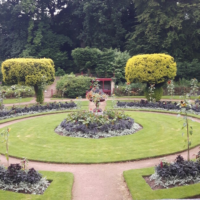 Michelle's garden
