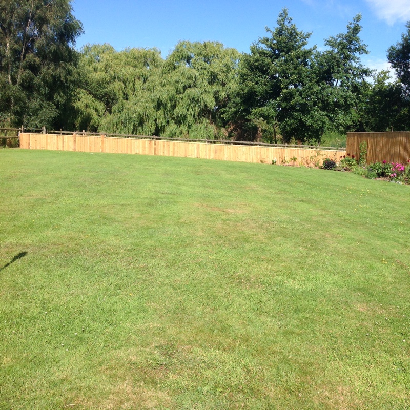 Becky's garden