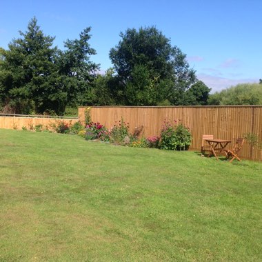Becky's garden
