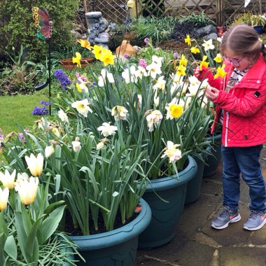 Keith's garden
