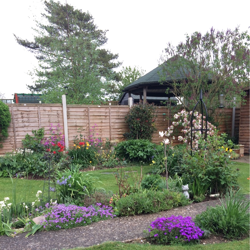 Elisabeth's garden