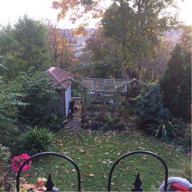 Glen's garden