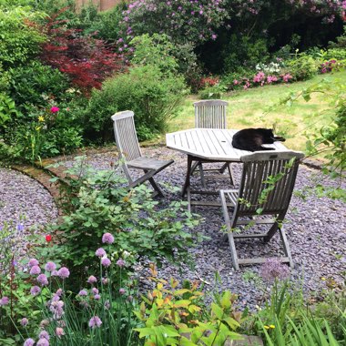 Katie's garden