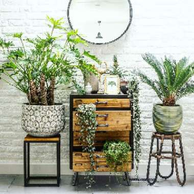 Greenkosh's garden