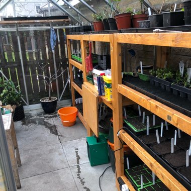 Eric's garden