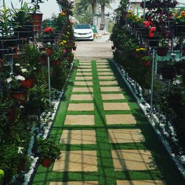 Sweet 's garden