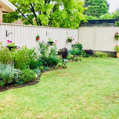 Lindsey's garden