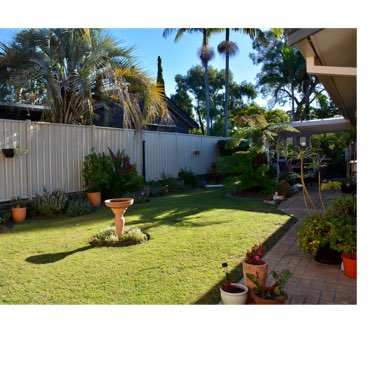Lindsey's garden