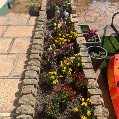 Hana's garden