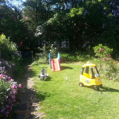 Robert's garden