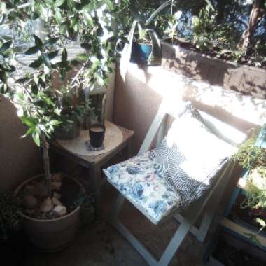Hanna's garden