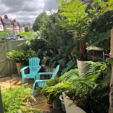 Happy's garden