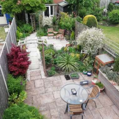 Daniel's garden