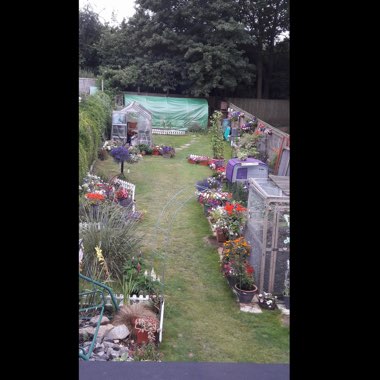 Heather's garden