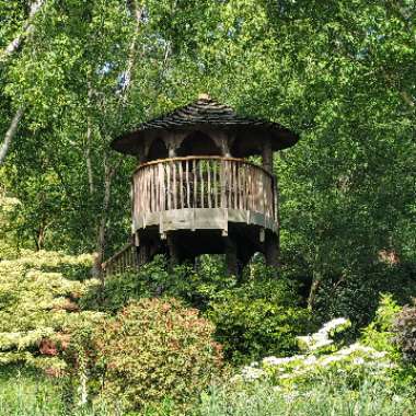 Liz (Elizabeth)'s garden