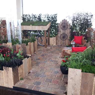 Helen's garden