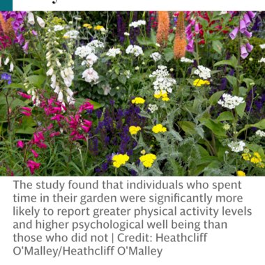 henrietta's garden