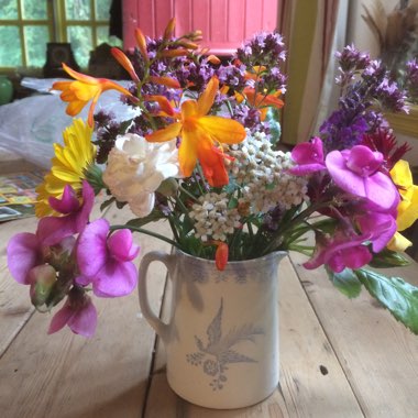henrietta's garden