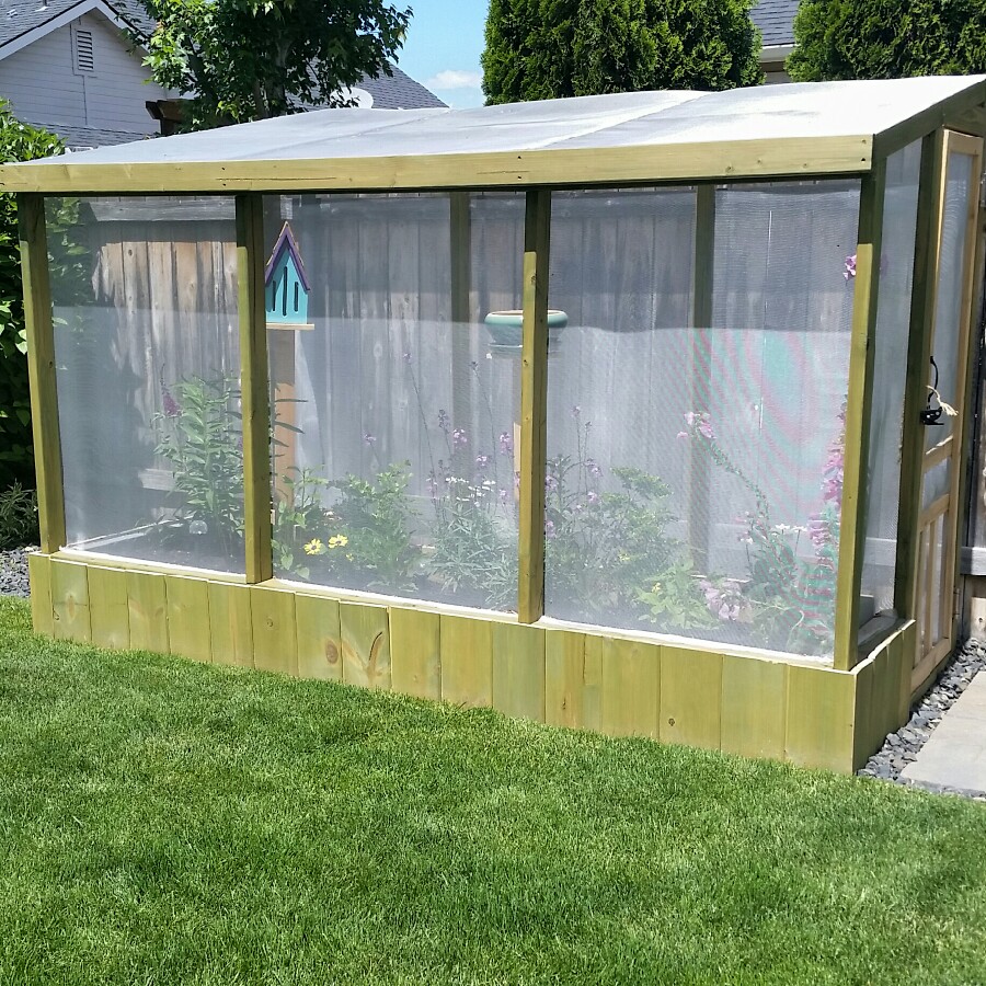 Jackie's garden