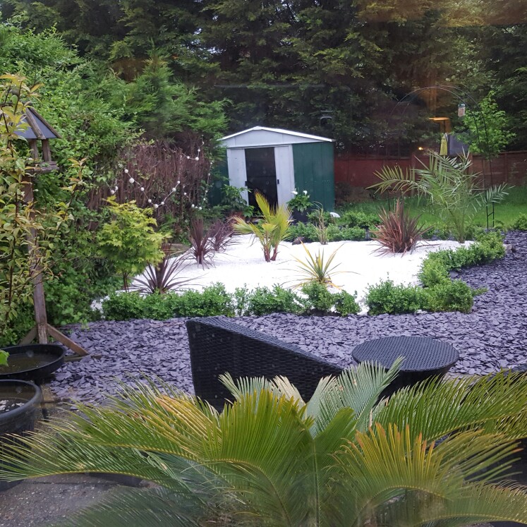 Hilary's garden
