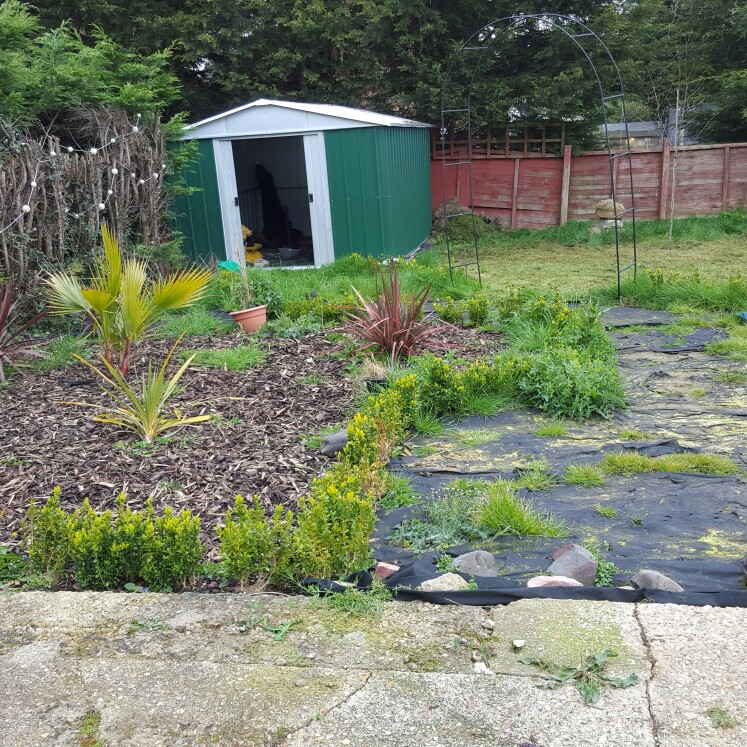 Hilary's garden