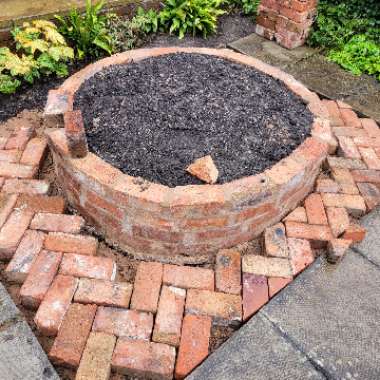 James's garden