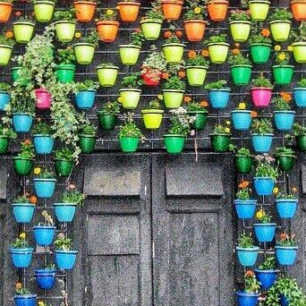Helen's garden