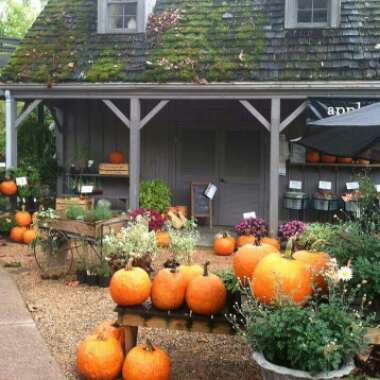 Helen's garden