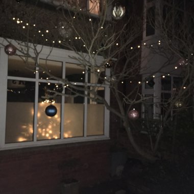 Catherine's garden