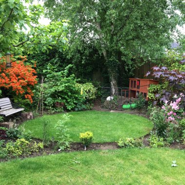Dawn's garden