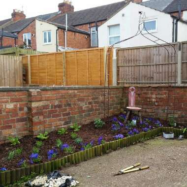Kevin's garden