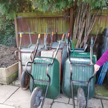 Sam's garden