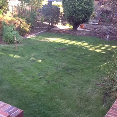 Ian's garden