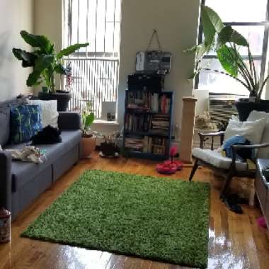 Heidi's garden