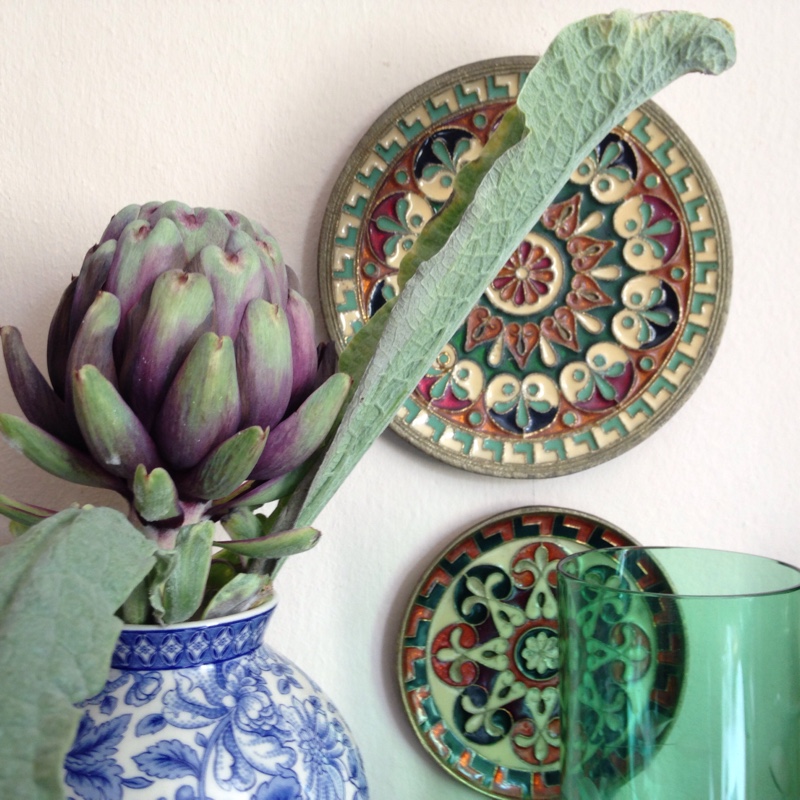 plant image 105105