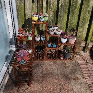 Iona's garden