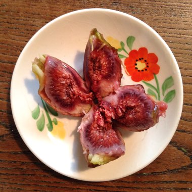 Fig 'Brown Turkey'
