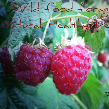Raspberry