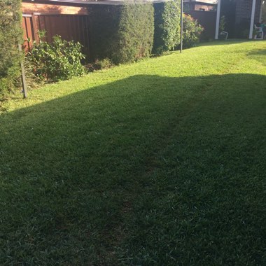 Grant's garden