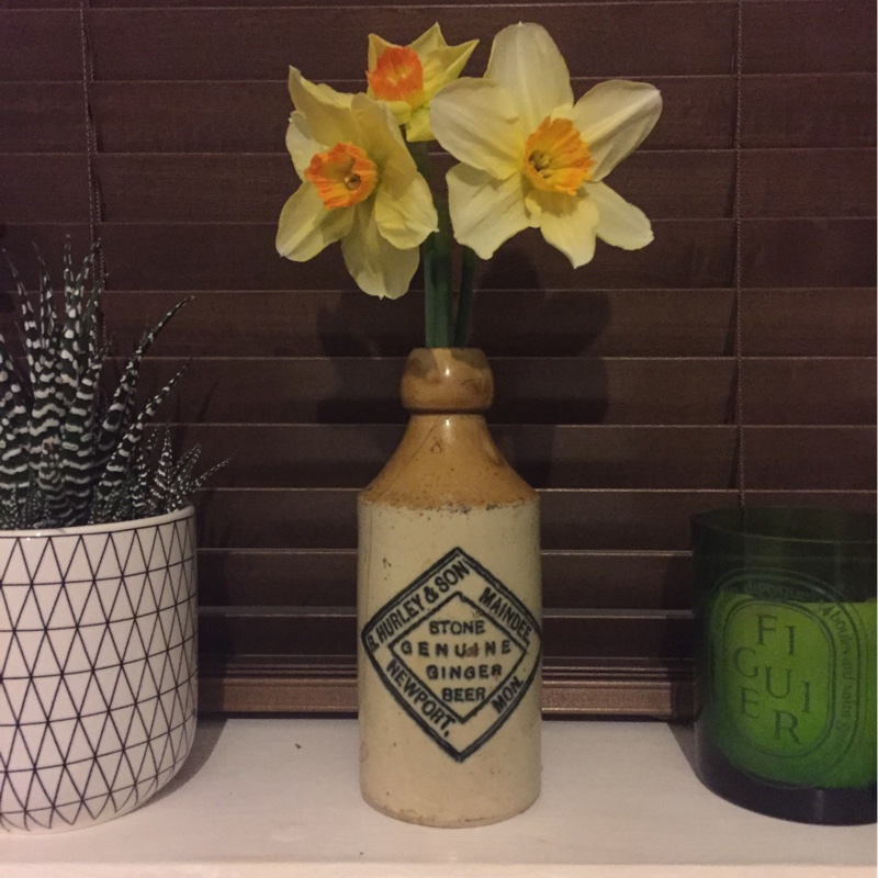 plant image 22037