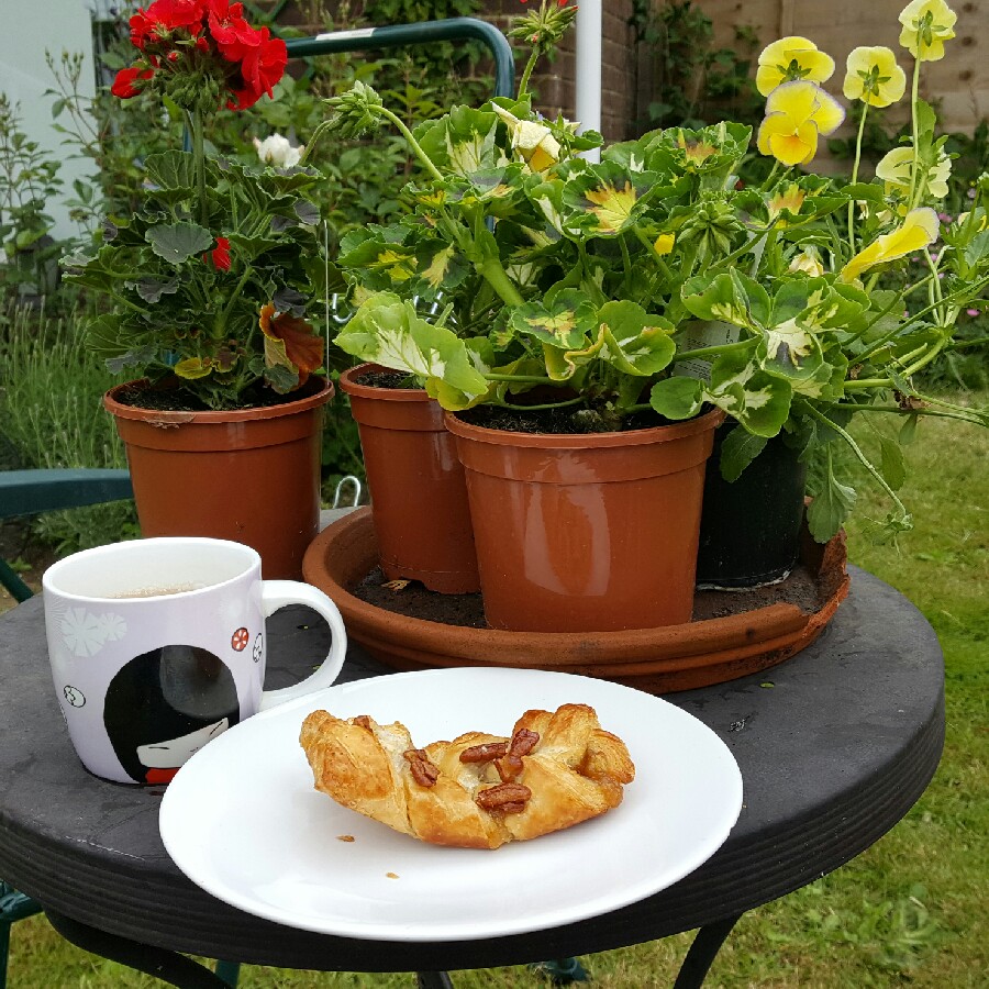 Jan's garden