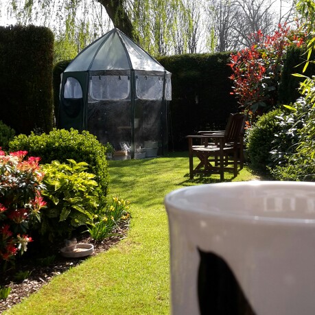 Jane's garden