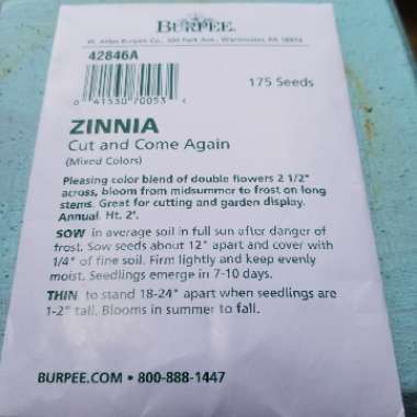 Zinnia