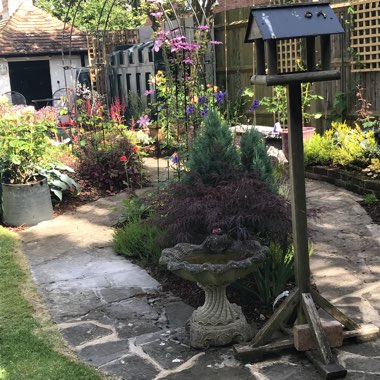 Jane's garden
